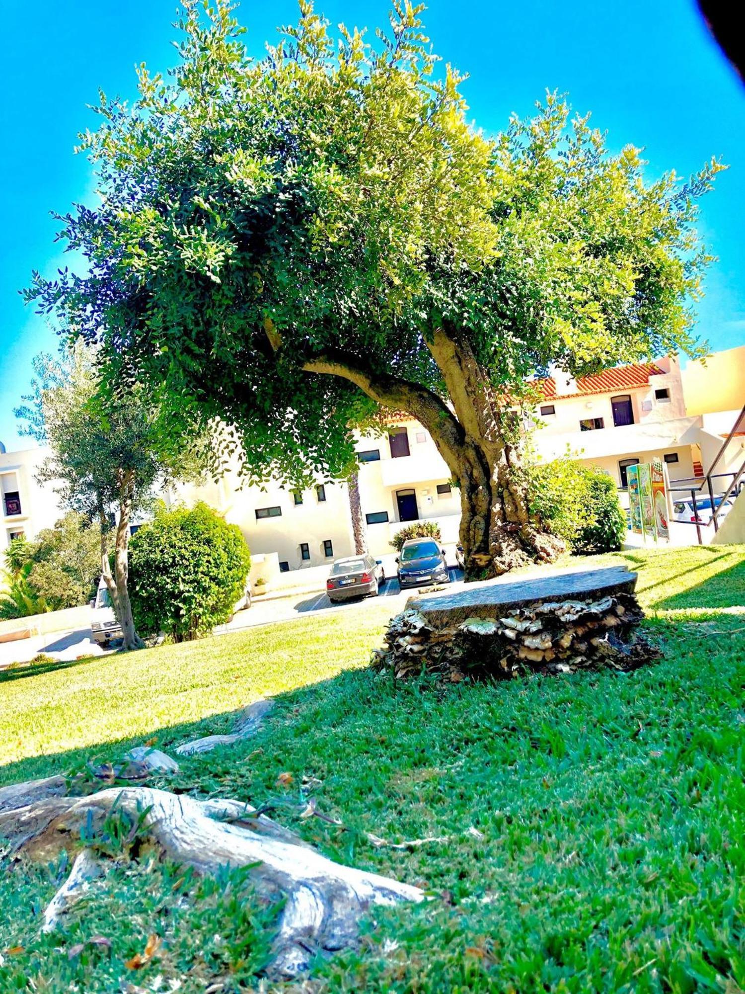 Albufeira Jardim - Apartamentos Turisticos Exterior photo